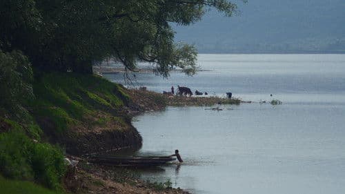 Тиха повінь Bild 1