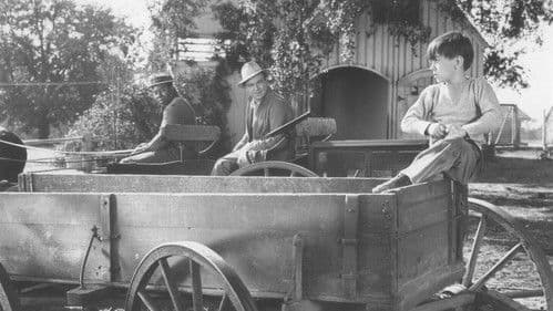 Die Promenadenmischung Bild 2