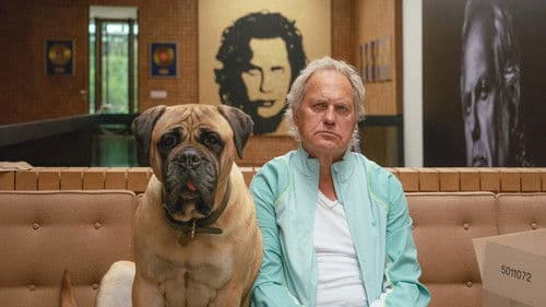 Die Ironie des Lebens Bild 3