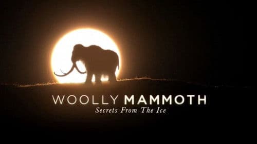 Woolly Mammoth: Secrets from the Ice Bild 2