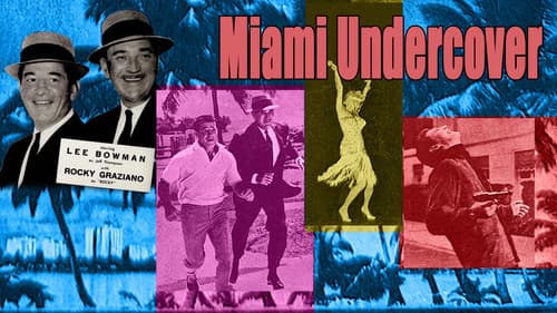 Miami Undercover Bild 1