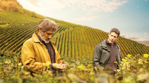 Premiers crus Bild 1