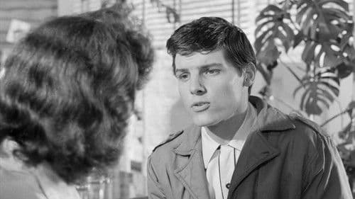 Friends and Neighbours Bild 4