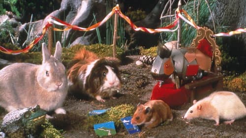 Once Upon a Hamster Bild 1