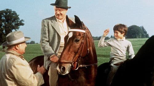 Kleiner Mann - ganz groß Bild 1