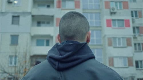 Черно Куче Bild 3