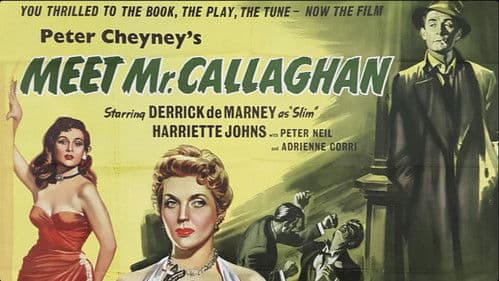 Detektiv Callaghan Bild 2