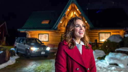 Der Klang der Schlittenglöckchen Bild 3