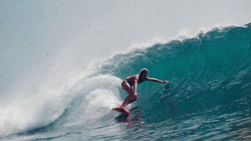 You Should Have Been Here Yesterday Bild 1