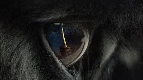 Une parfaite étrangeté Bild 4