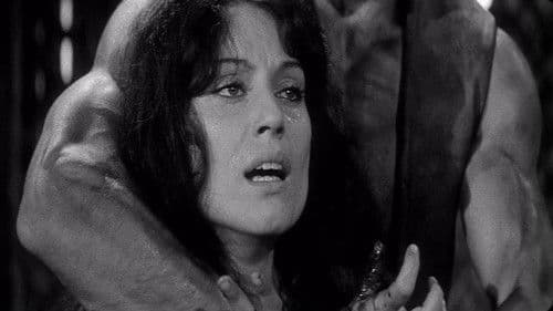 Die Hexenjagd Bild 4