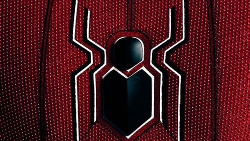 Spider-Man: All Roads Lead to No Way Home Bild 3