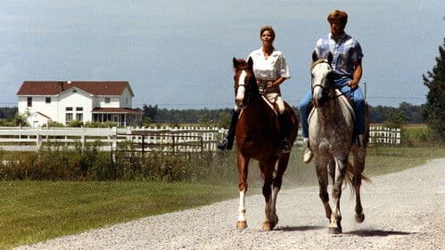 Wallstreet Woman Bild 6