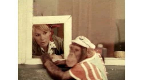 Новые приключения Дони и Микки Bild 4