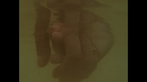 A Mulher do Rio Bild 2