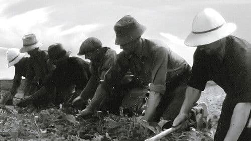 La Ceinture Dorée Bild 1