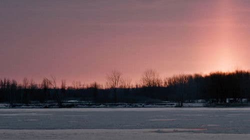 Tout ce qui gronde Bild 1