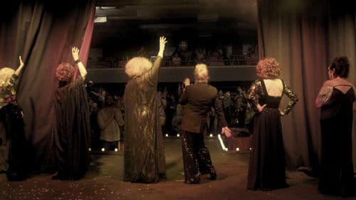 Divinas Divas Bild 1