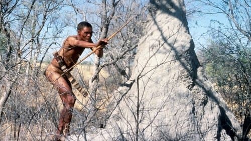 Die Götter müssen verrückt sein Bild 3