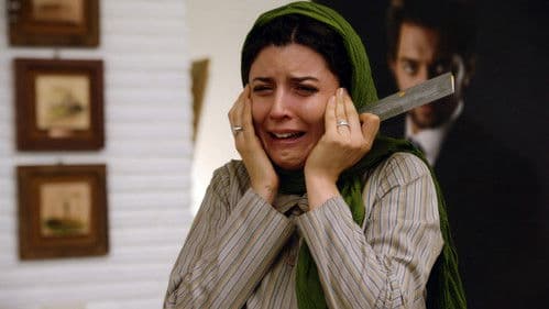 بی پولی Bild 1