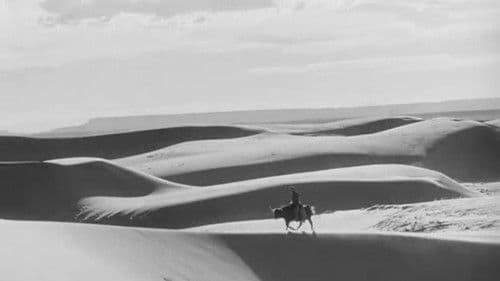 Flucht nach Nevada Bild 3