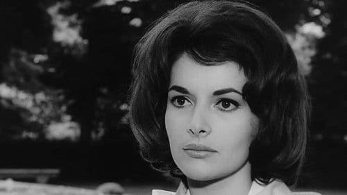 Der Teppich des Grauens Bild 7