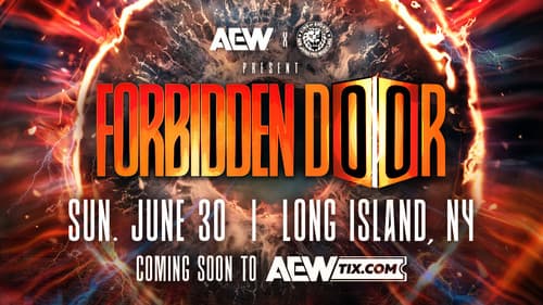 AEW x NJPW Present Forbidden Door 2024 Bild 6