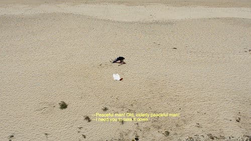 European Man...American Beach Bild 7