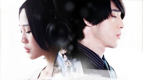 紫玫瑰 Bild 1