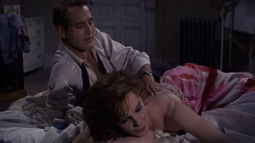 Süßer Vogel Jugend Bild 5