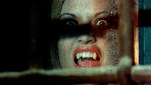 Die Nacht der offenen Särge Bild 6