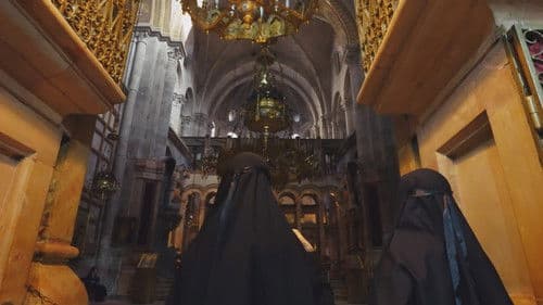 大宝荐系列 Bild 1