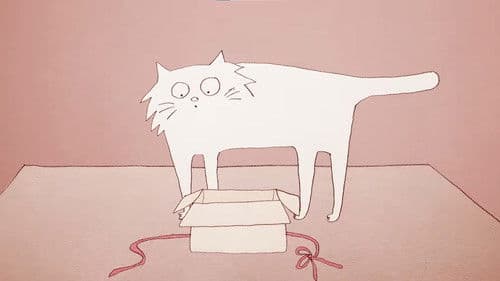 Why Do Cats Act So Weird? Bild 1