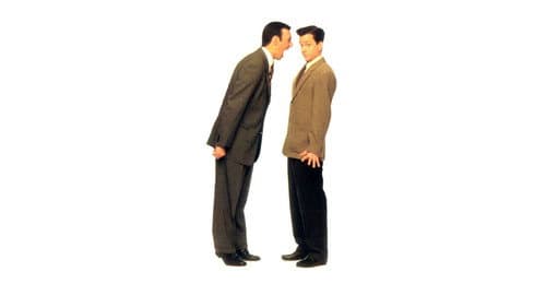 Unter Haien in Hollywood Bild 1