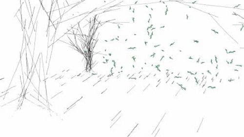 The Train, The Forest Bild 1