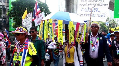 100 Times Reproduction of Democracy Bild 1