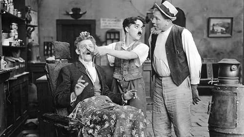 Auf der Sonnenseite Bild 2