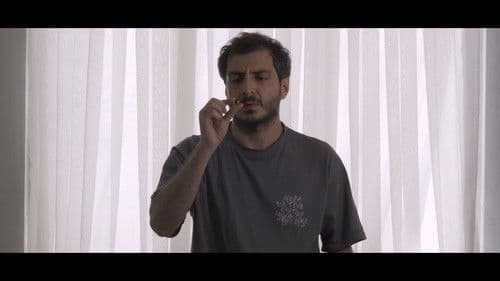 پورتال P Bild 4