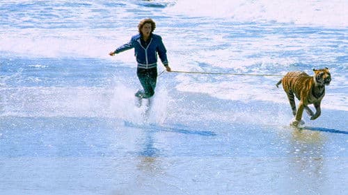 Sultan and the Rock Star Bild 2