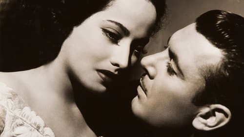 'Til We Meet Again Bild 1