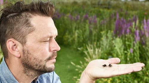 Jimmy's Big Bee Rescue Bild 1