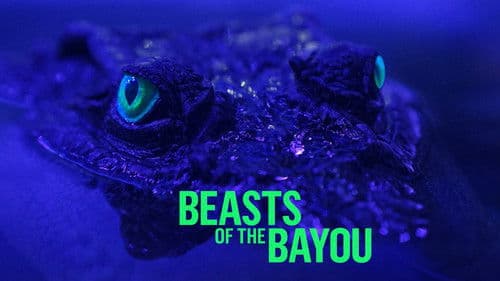 Beasts of the Bayou Bild 2