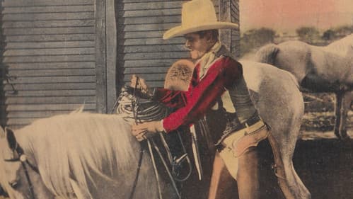 Senor Daredevil Bild 1