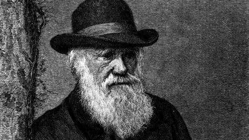 The Genius of Charles Darwin Bild 1