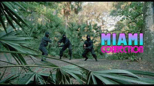 American Streetfighter Bild 8