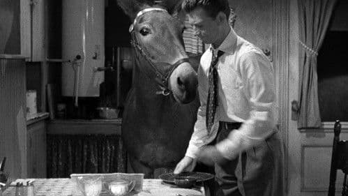 Francis Covers the Big Town Bild 4