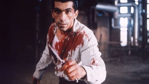 Lola und Bilidikid Bild 4