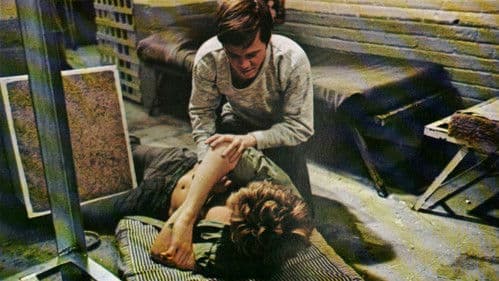 Fortune and Men's Eyes Bild 2