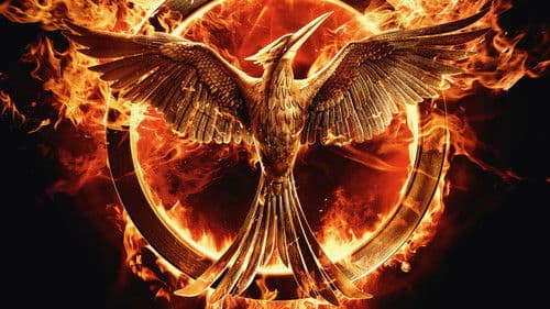 Die Tribute von Panem - Mockingjay Teil 1 Bild 4