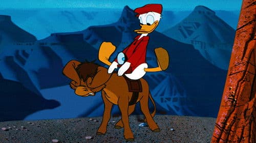 Das Grand-Canyon-Skop Bild 1